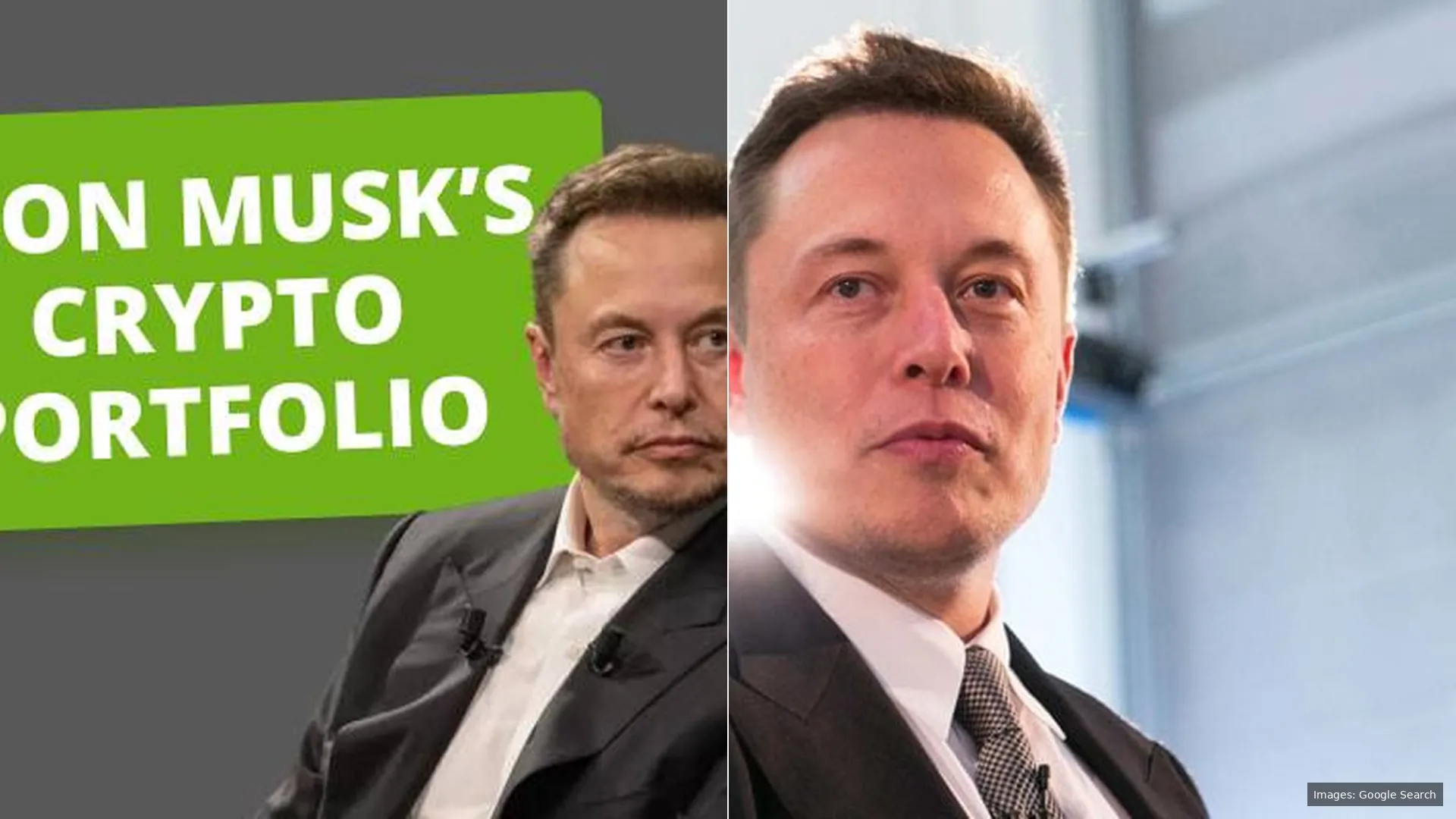 The Role of Muskonomy Stocks in a 2026 Growth Portfolio
